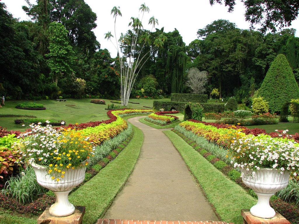 Apple Sara Home Stay Kandy Eksteriør bilde